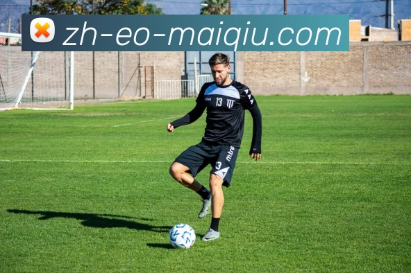 买球线上官方发展历程